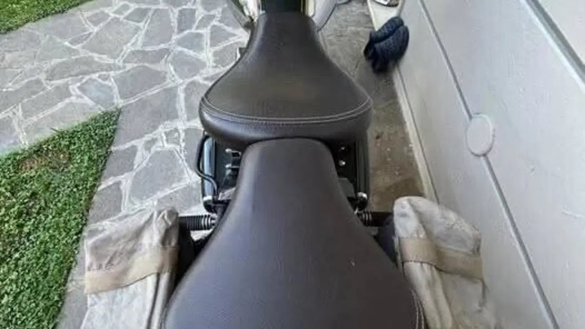 Royal Enfield Bullet 500 EFI STD - Entry Level (2017 - 20)  (9)