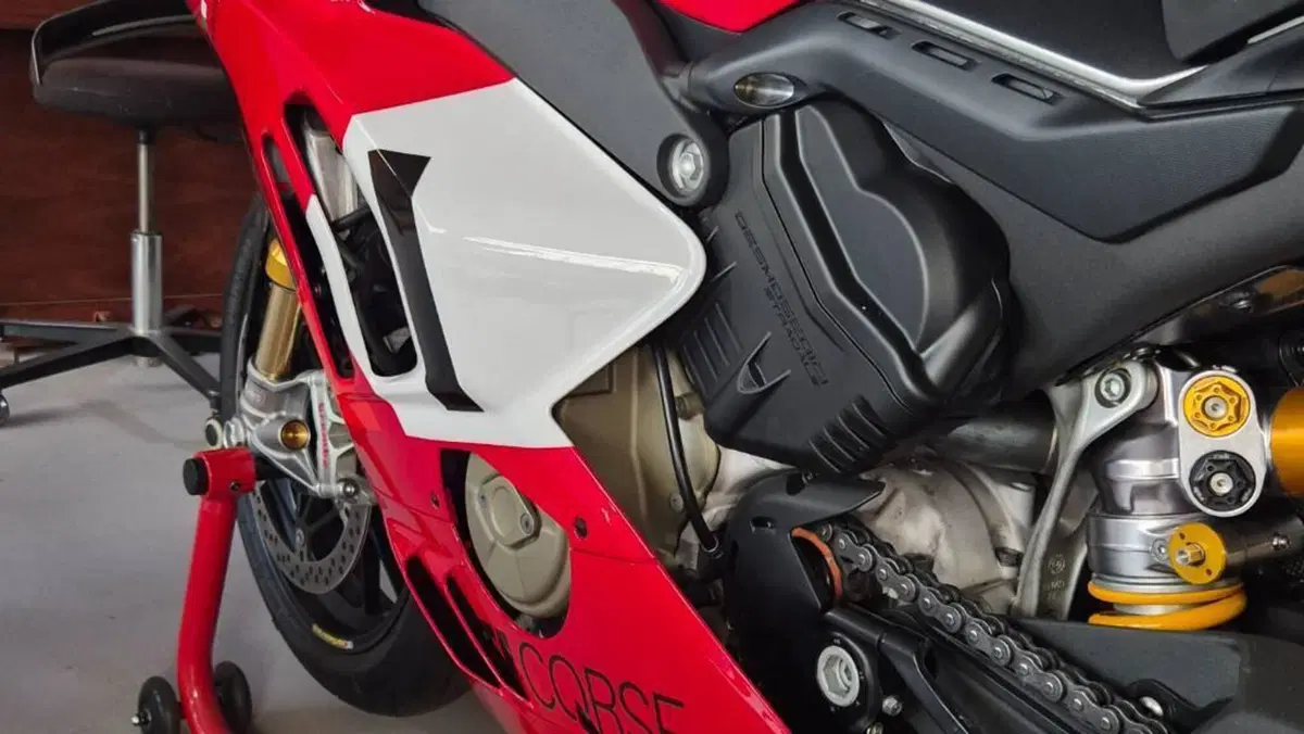 Ducati Panigale V4 R (2023 - 24)  (8)