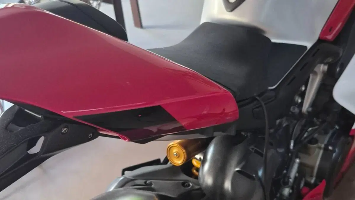Ducati Panigale V4 R (2023 - 24)  (10)