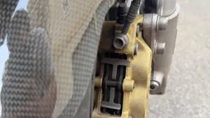 Ducati   (5)
