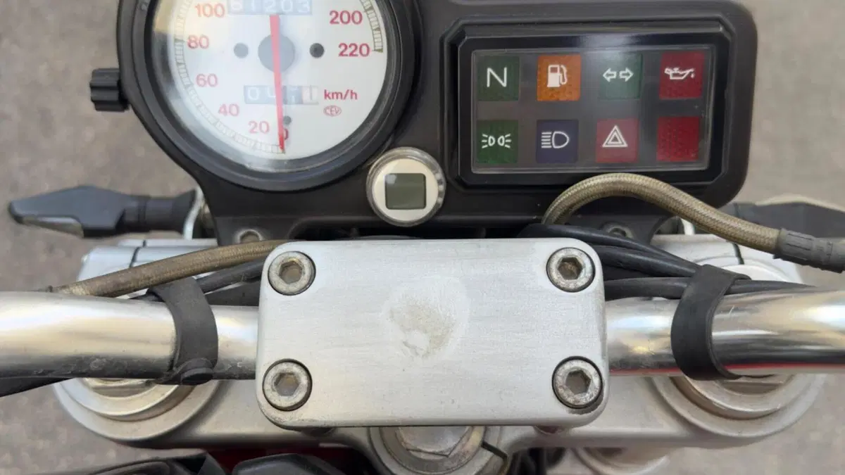 Ducati   (6)