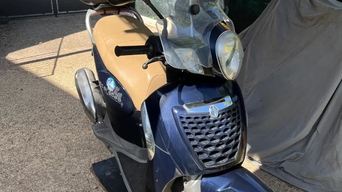 Aprilia Scarabeo 200 i.e. (2009 - 11) 