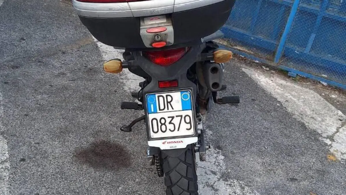 Honda Transalp XL 700 V (2007 - 2013)  (6)
