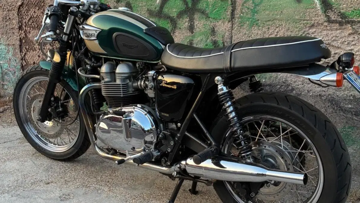 Triumph   (3)
