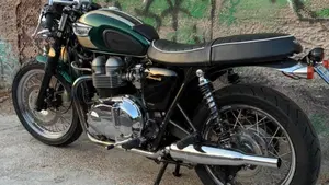 Triumph   (3)