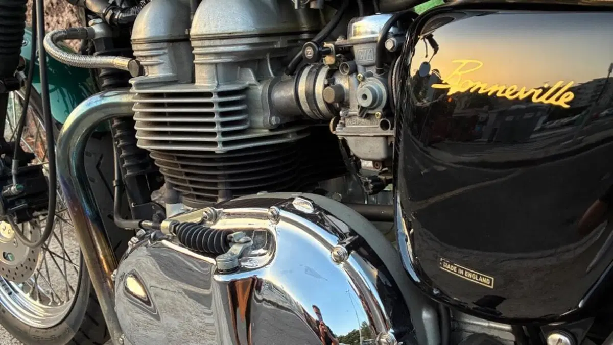Triumph   (6)
