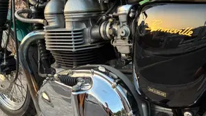 Triumph   (6)