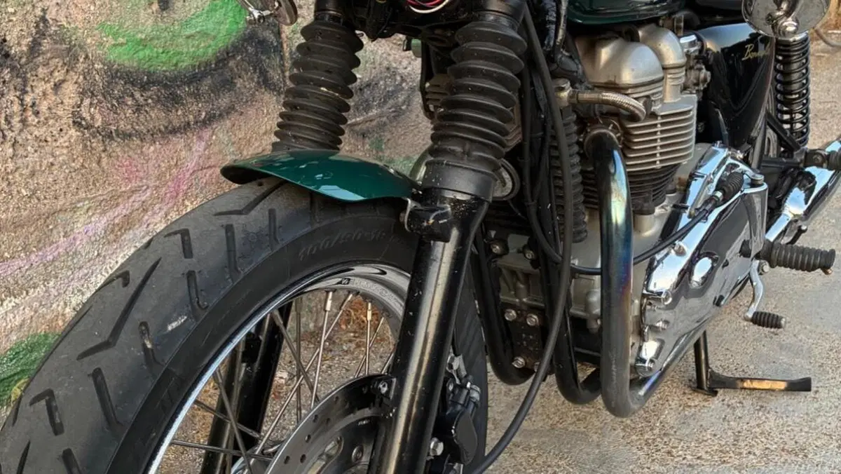 Triumph   (7)