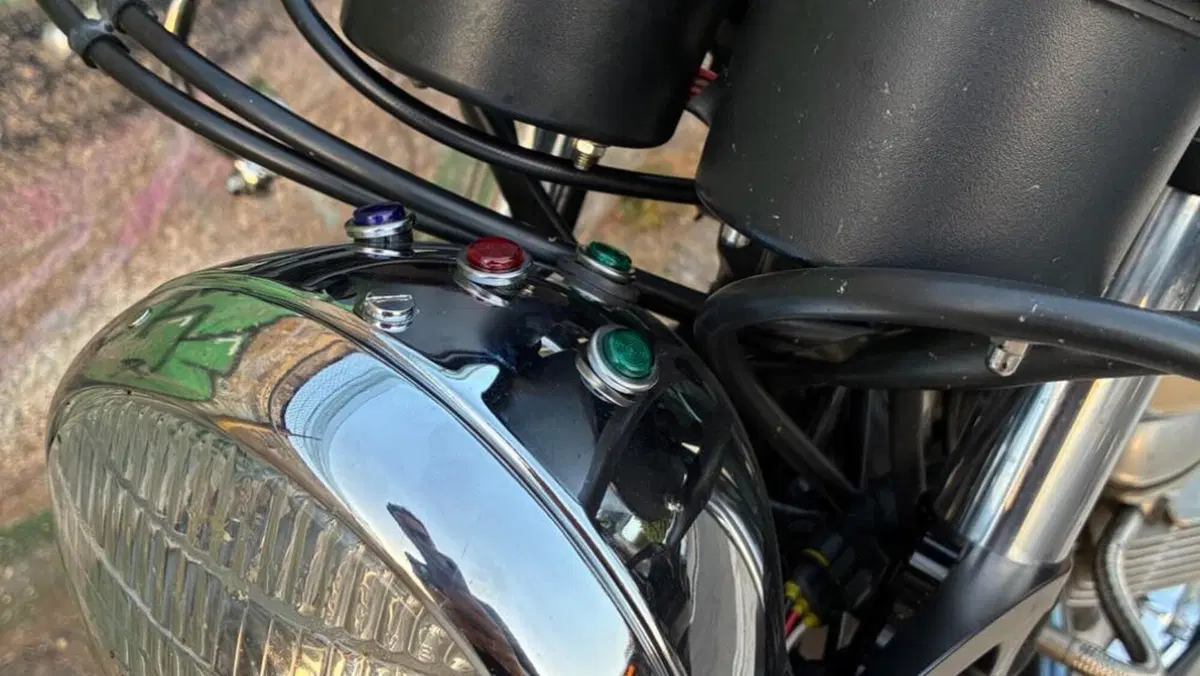 Triumph   (8)