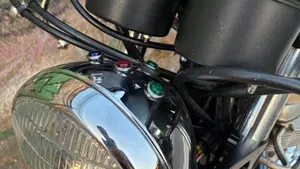 Triumph   (8)