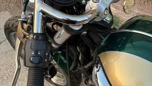 Triumph   (9)