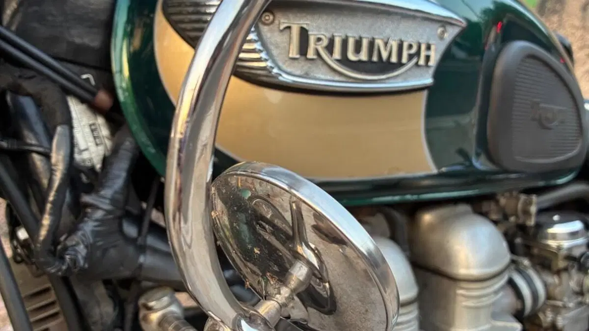 Triumph   (10)
