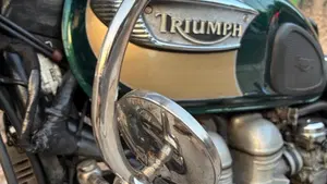 Triumph   (10)
