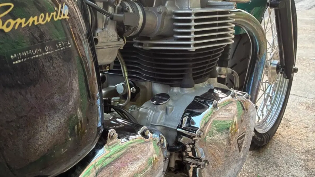 Triumph   (11)