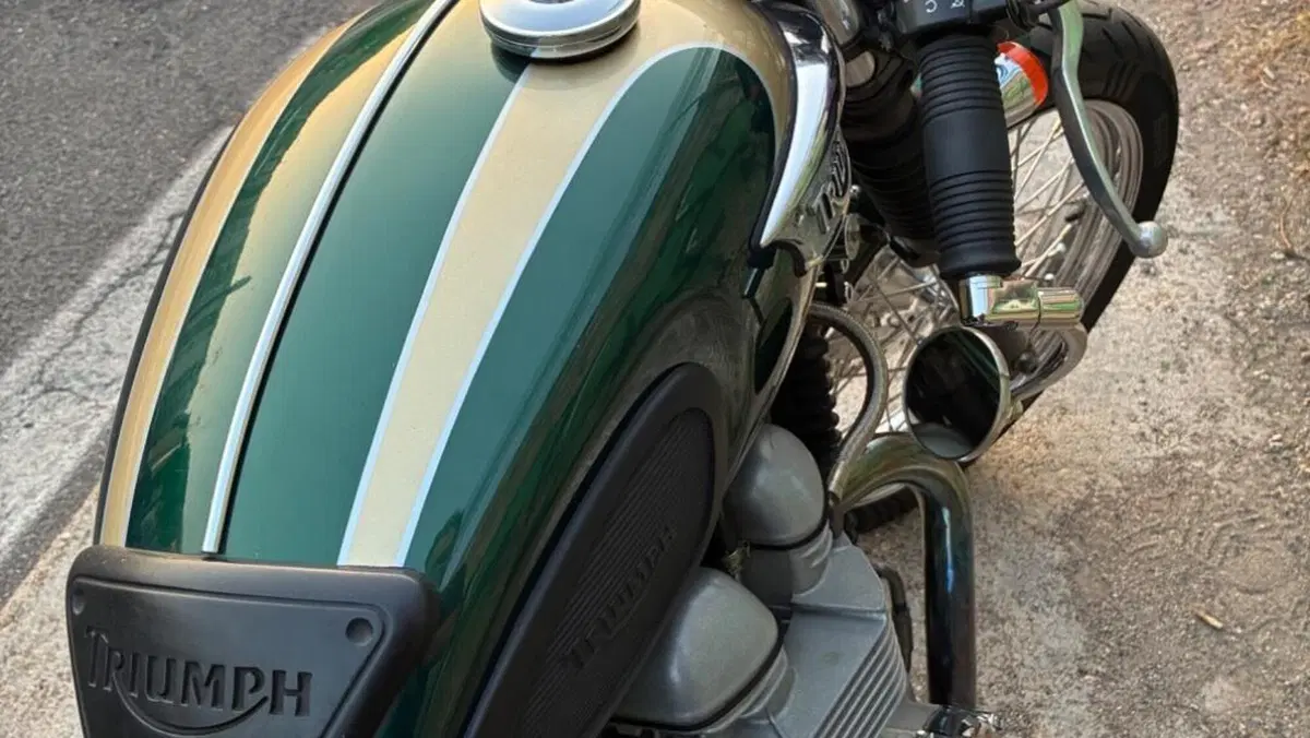Triumph   (12)