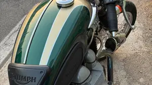 Triumph   (12)