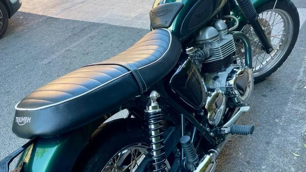 Triumph   (14)
