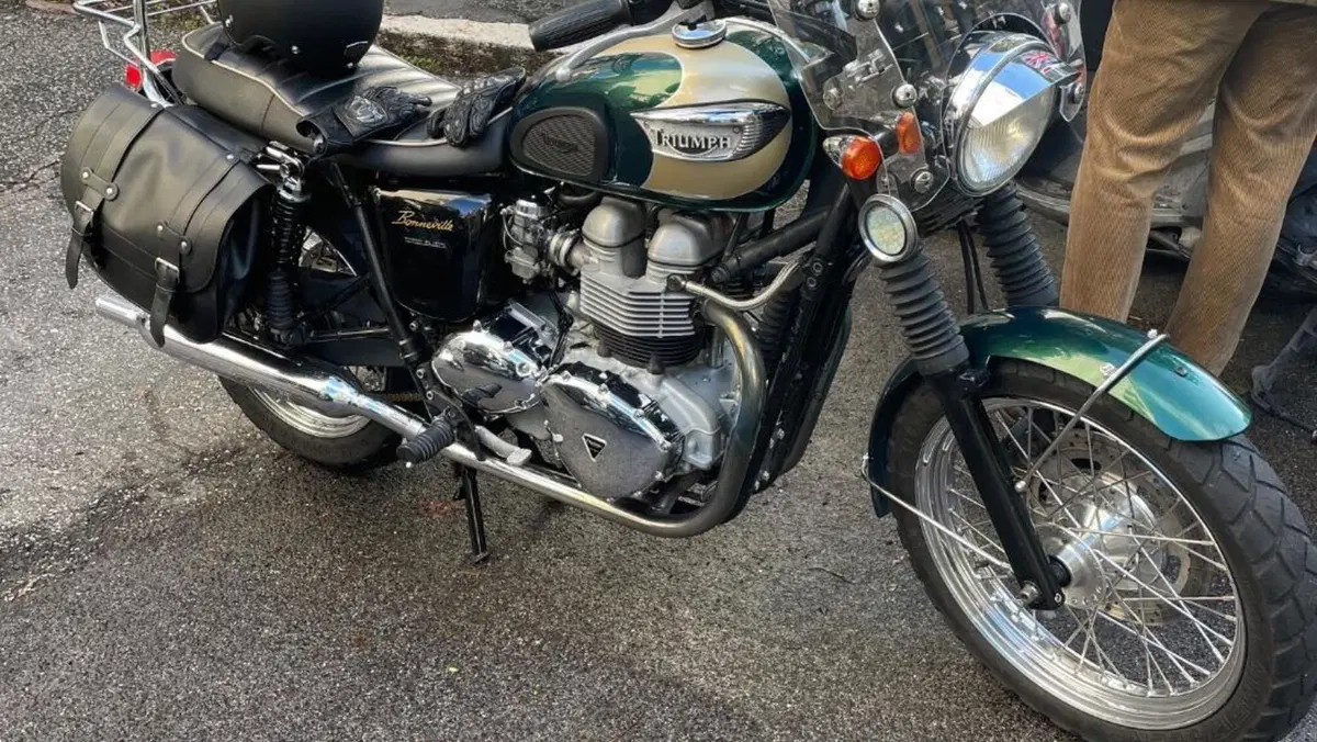 Triumph   (15)