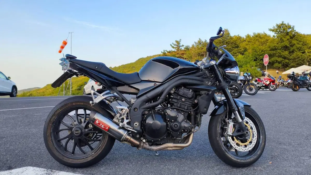 Triumph Speed Triple 1050 (2005 - 11)  (2)