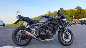 Triumph Speed Triple 1050 (2005 - 11)  (2)