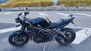Triumph Speed Triple 1050 (2005 - 11)  (4)