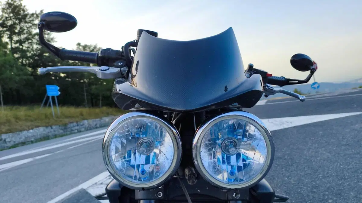 Triumph Speed Triple 1050 (2005 - 11)  (5)