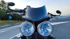 Triumph Speed Triple 1050 (2005 - 11)  (5)