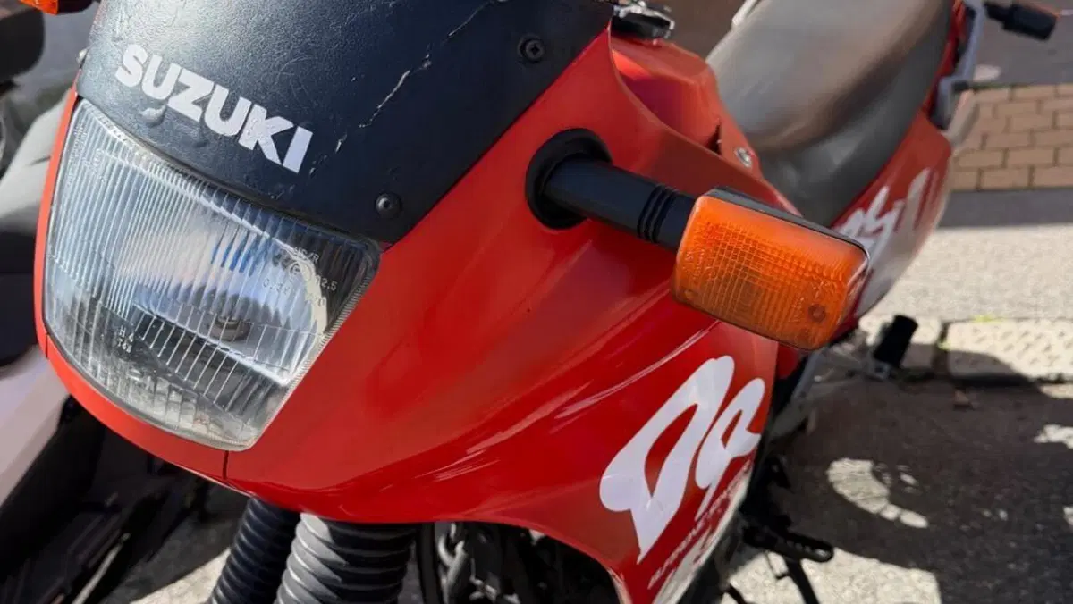 Suzuki   (2)