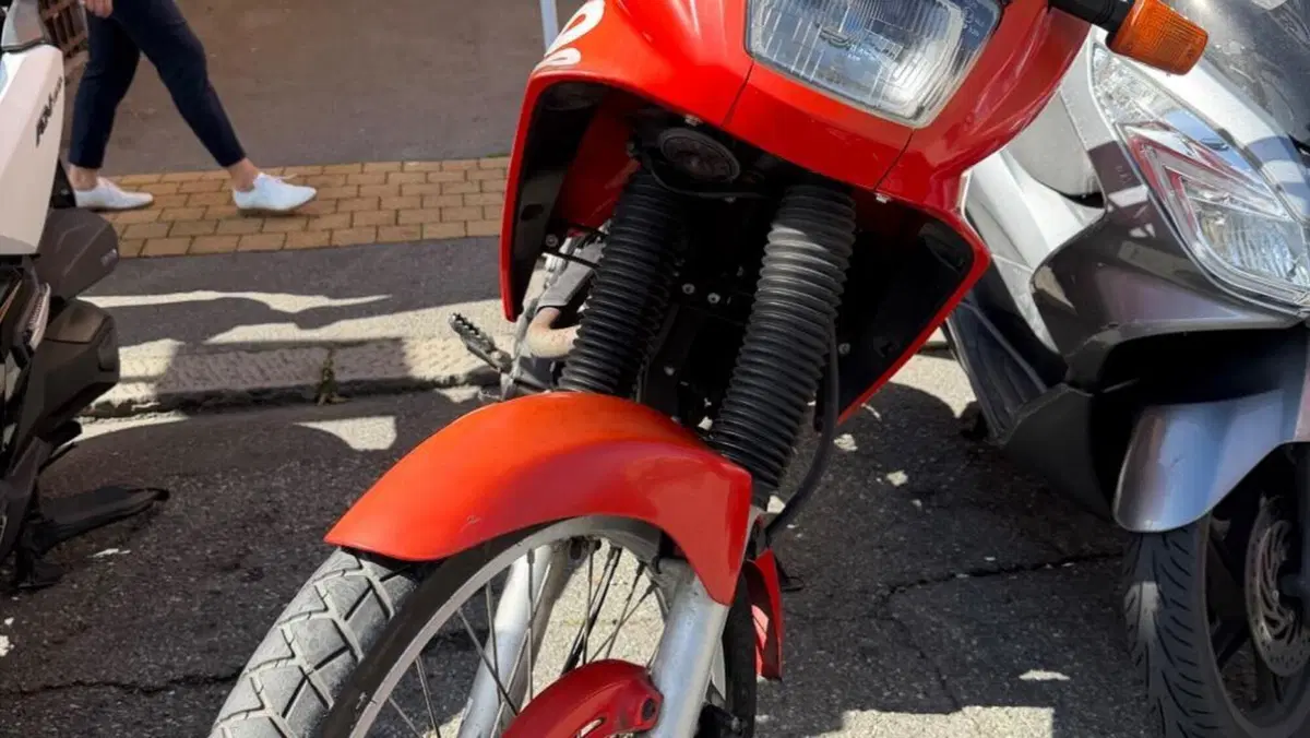 Suzuki   (4)