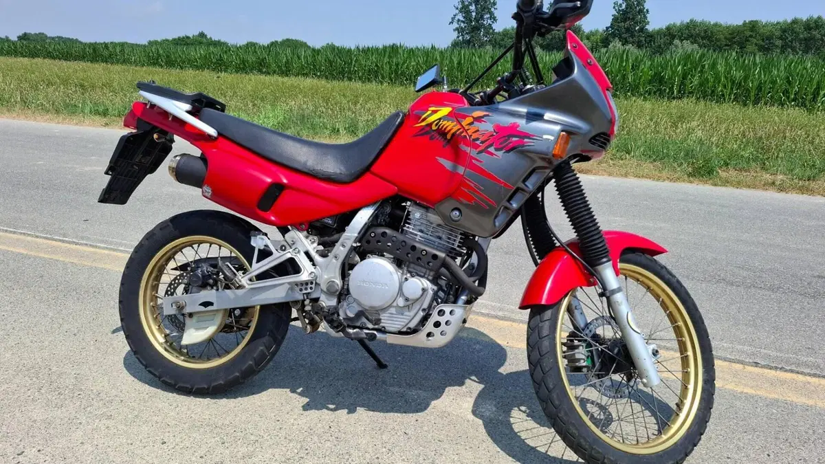 Honda NX 650 Dominator (1991 - 95)  (2)