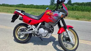 Honda NX 650 Dominator (1991 - 95)  (2)