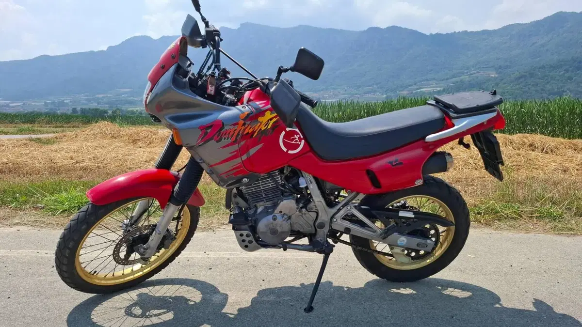 Honda NX 650 Dominator (1991 - 95)  (3)