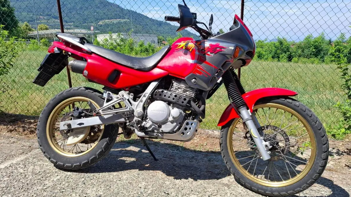 Honda NX 650 Dominator (1991 - 95)  (6)