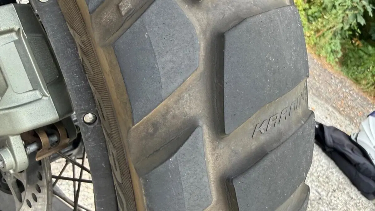 Bmw R 1300 GS Trophy (2023 - 26)  (11)