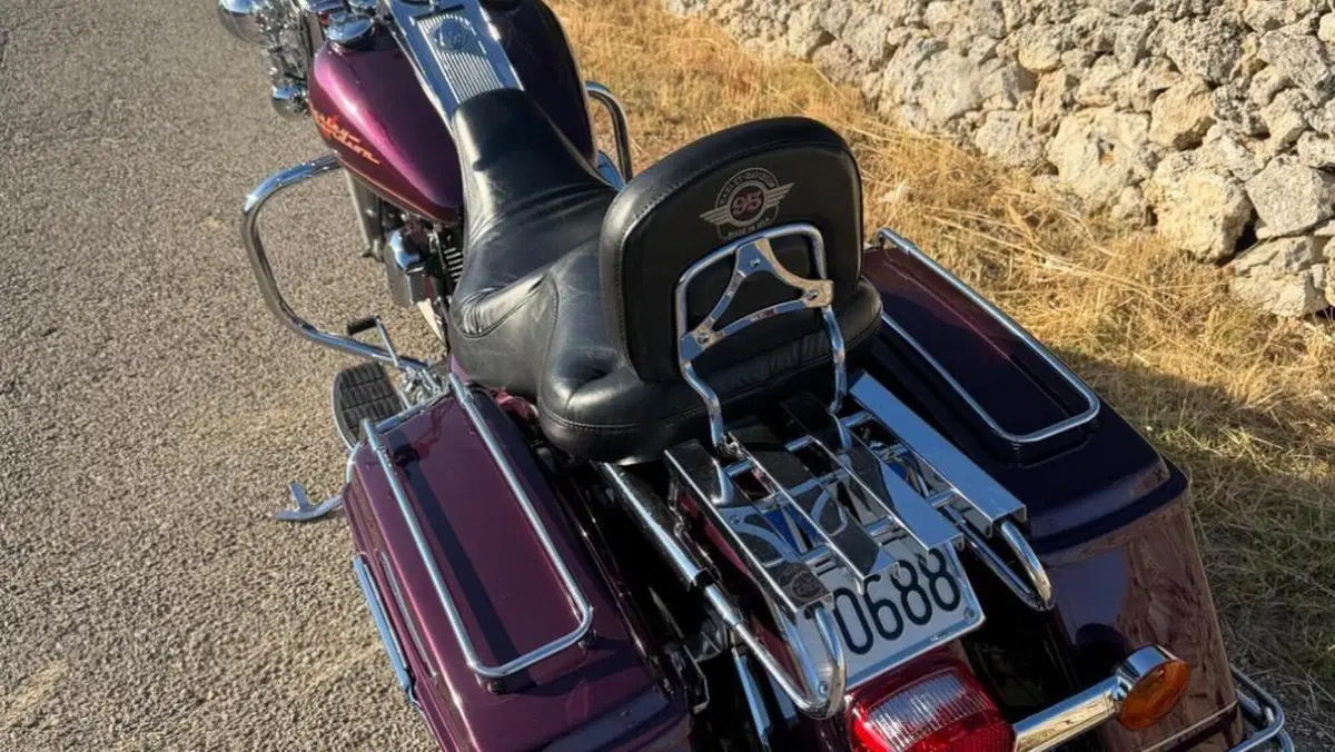Harley-Davidson   (4)