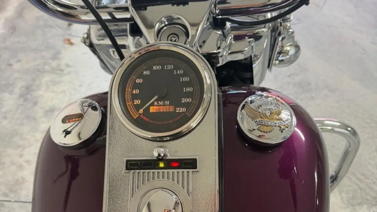 Harley-Davidson   (6)