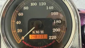 Harley-Davidson   (7)