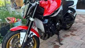 Yamaha FZ1 (2006 - 16)  (6)