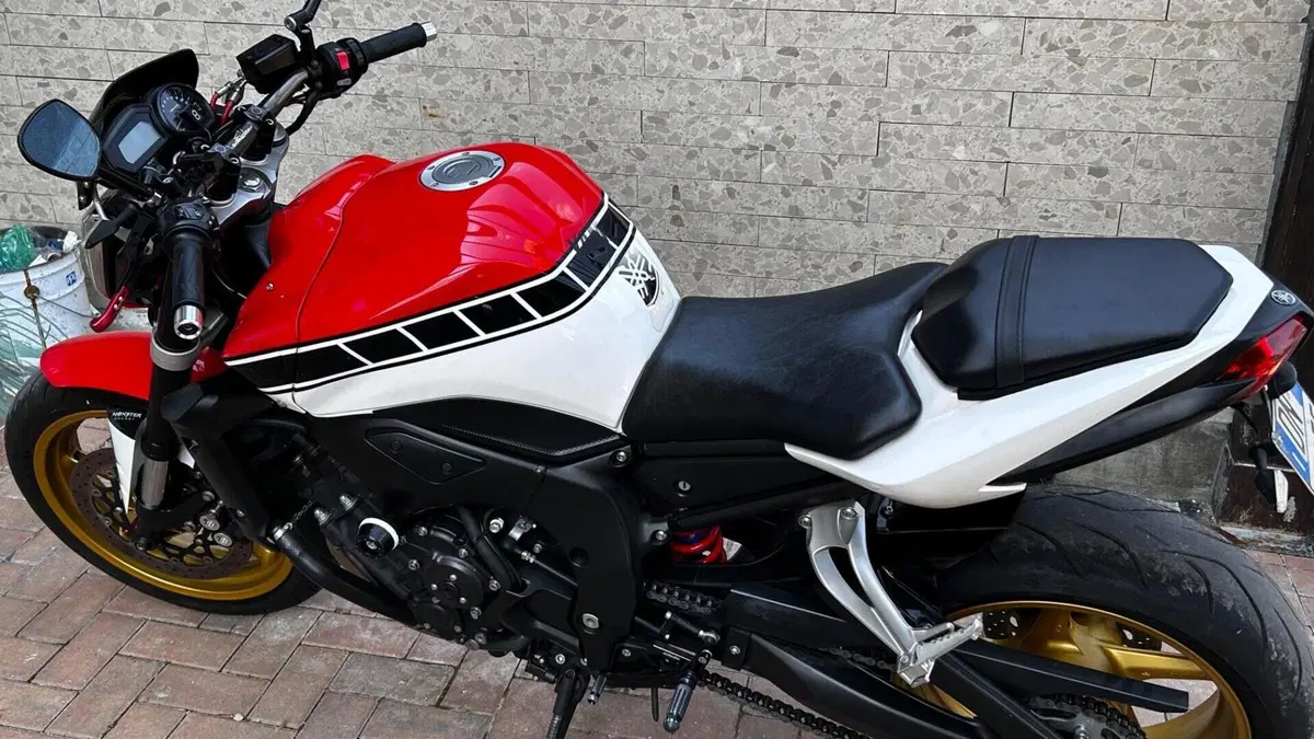 Yamaha FZ1 (2006 - 16)  (8)