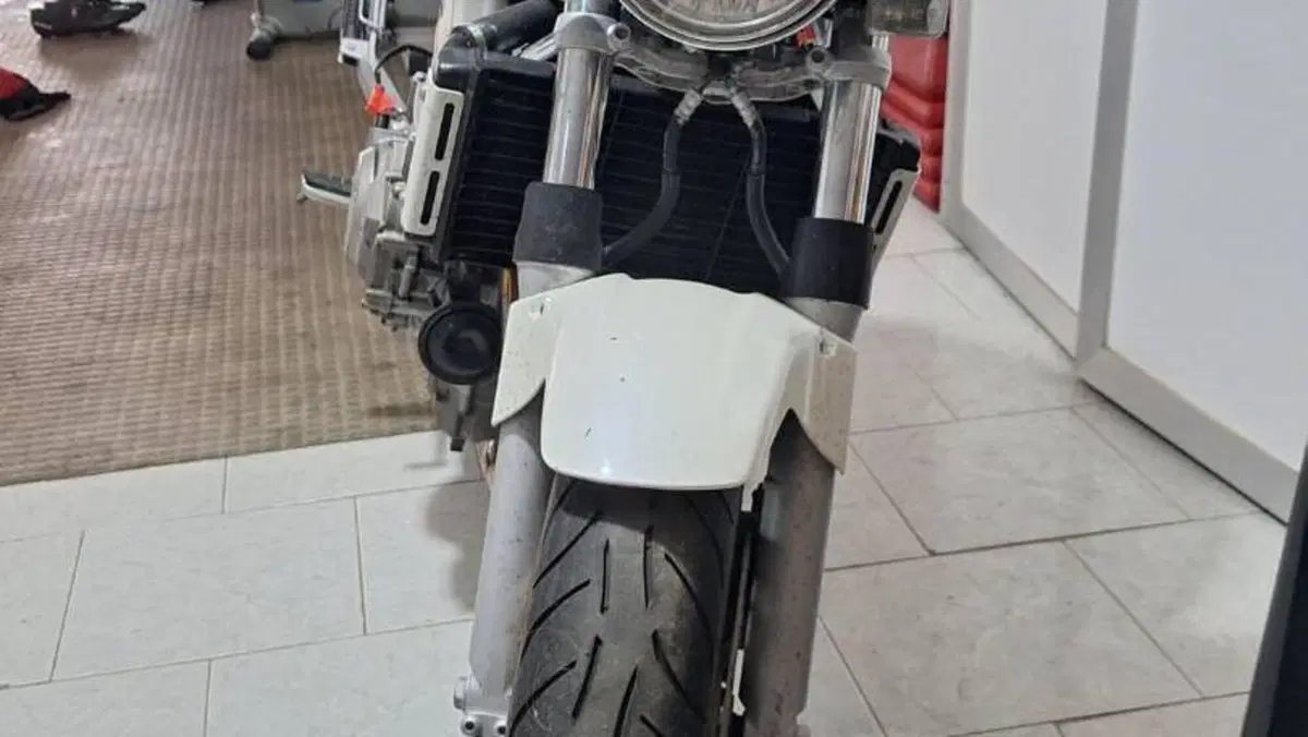 Honda Hornet 900  (4)