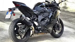Kawasaki Ninja ZX-4R (2024 - 26) 