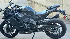 Kawasaki Ninja ZX-4R (2024 - 26)  (5)