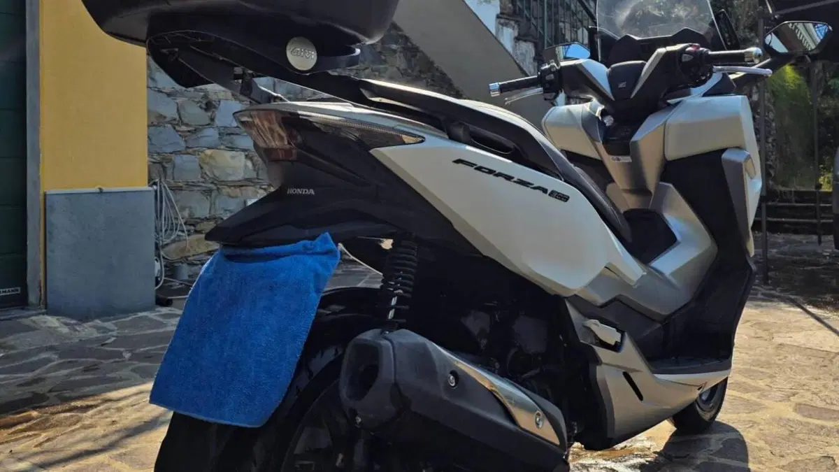 Honda Forza 300 ABS (2018 - 20)  (7)