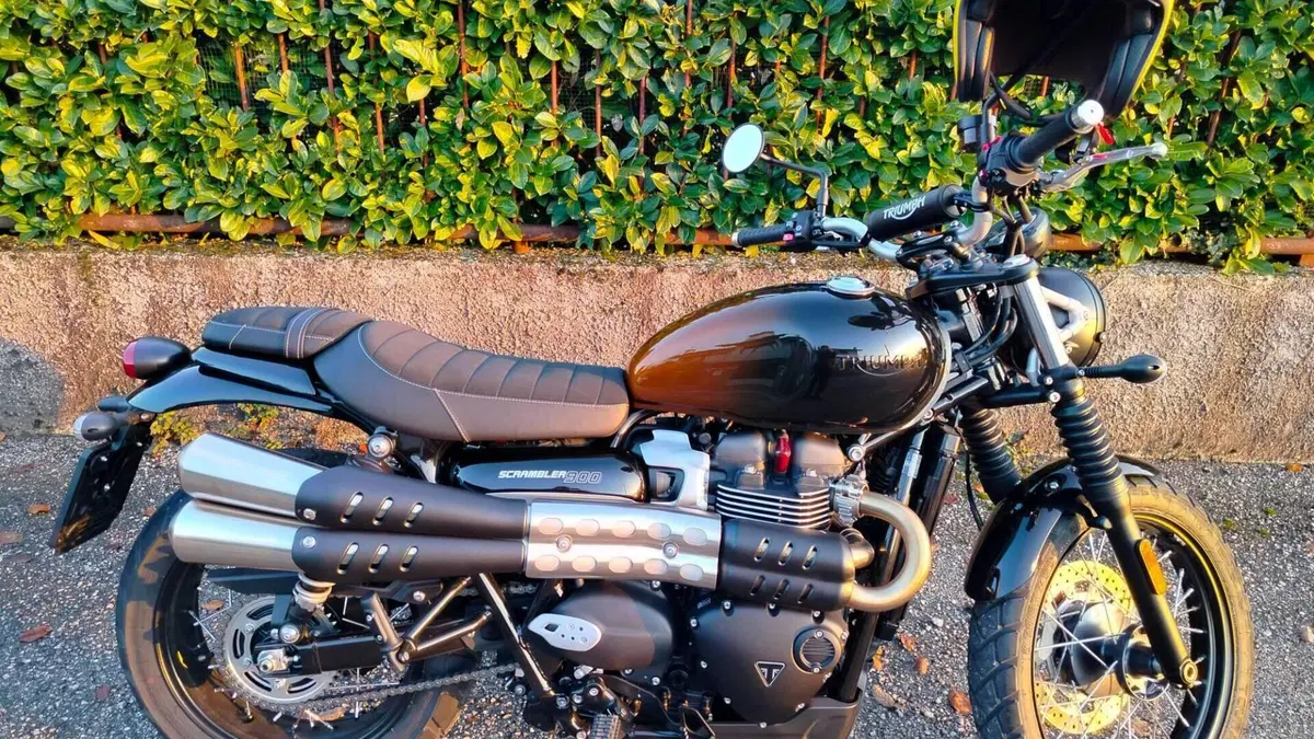 Triumph Scrambler 900 Stealth Edition (2024)  (2)