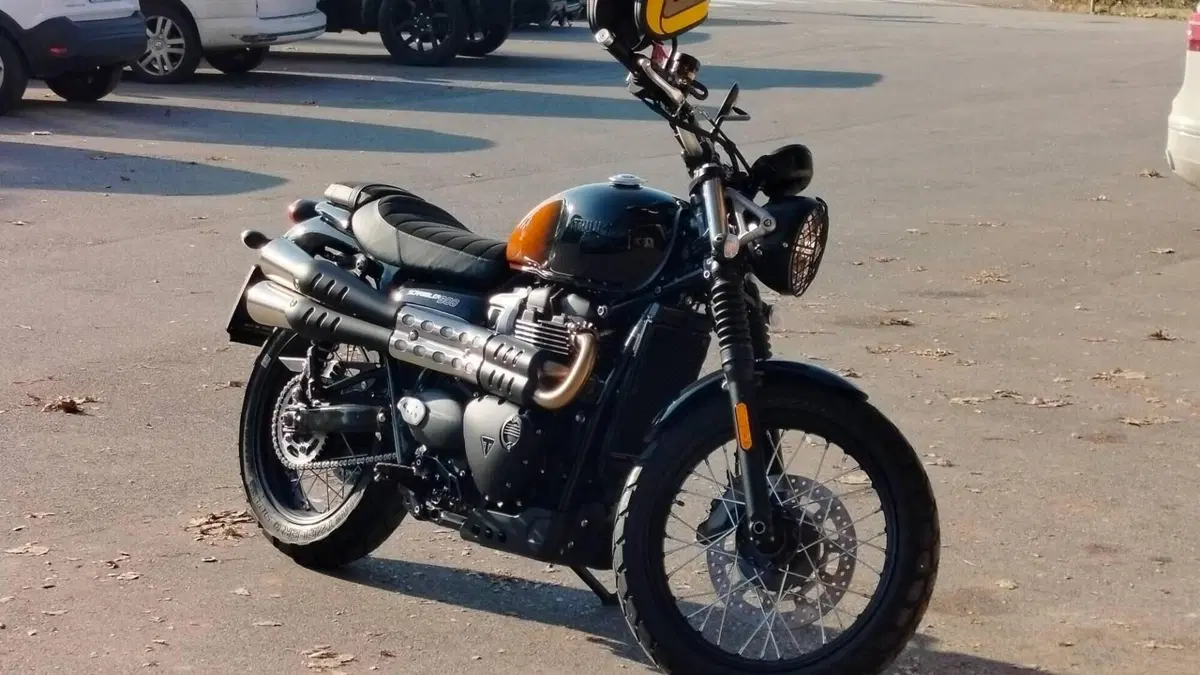 Triumph Scrambler 900 Stealth Edition (2024)  (3)
