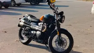 Triumph Scrambler 900 Stealth Edition (2024)  (3)