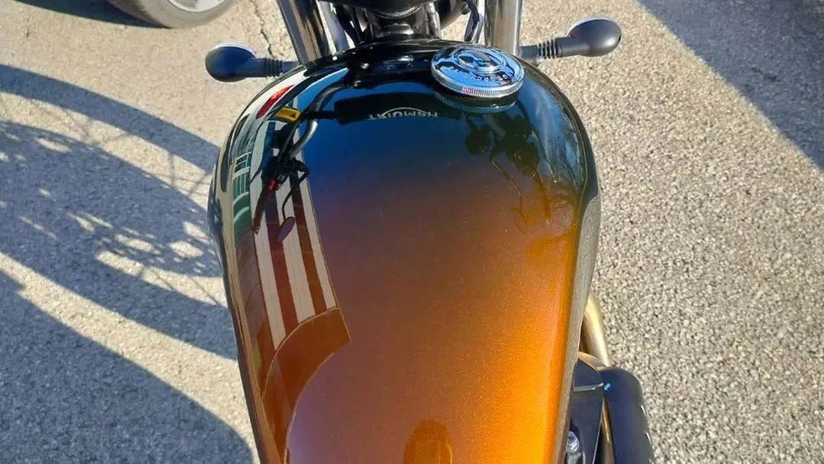 Triumph Scrambler 900 Stealth Edition (2024)  (7)