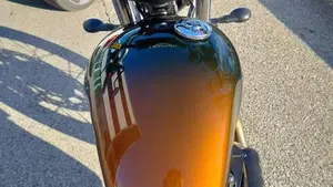 Triumph Scrambler 900 Stealth Edition (2024)  (7)