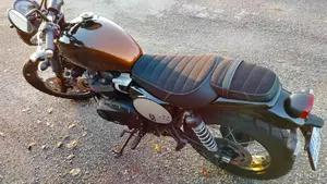 Triumph Scrambler 900 Stealth Edition (2024)  (9)