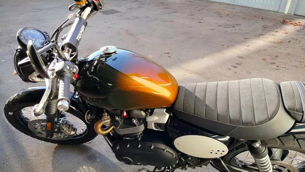 Triumph Scrambler 900 Stealth Edition (2024)  (13)